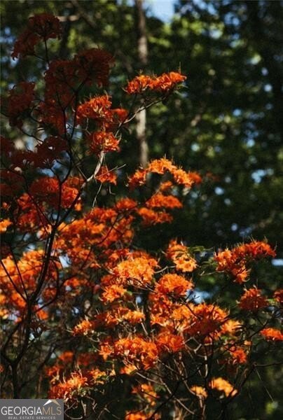 8355 Cedar Grove Road Fairburn - Photo 33