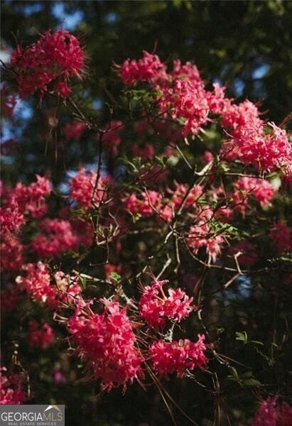 8355 Cedar Grove Road Fairburn - Photo 34