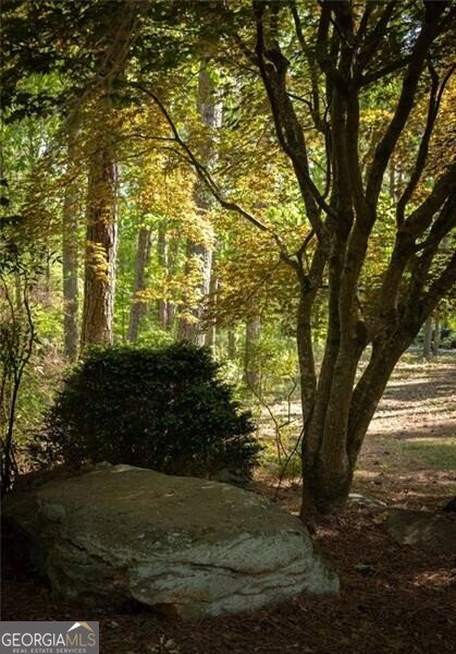 8355 Cedar Grove Road Fairburn - Photo 35