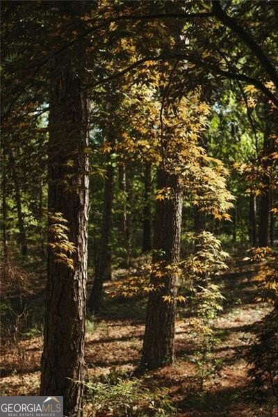 8355 Cedar Grove Road Fairburn - Photo 36