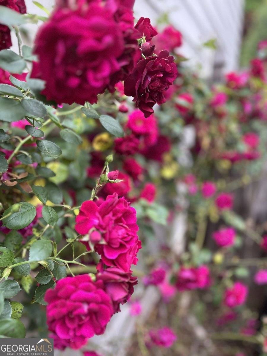 1380 Benbrooke Lane Acworth - Photo 57