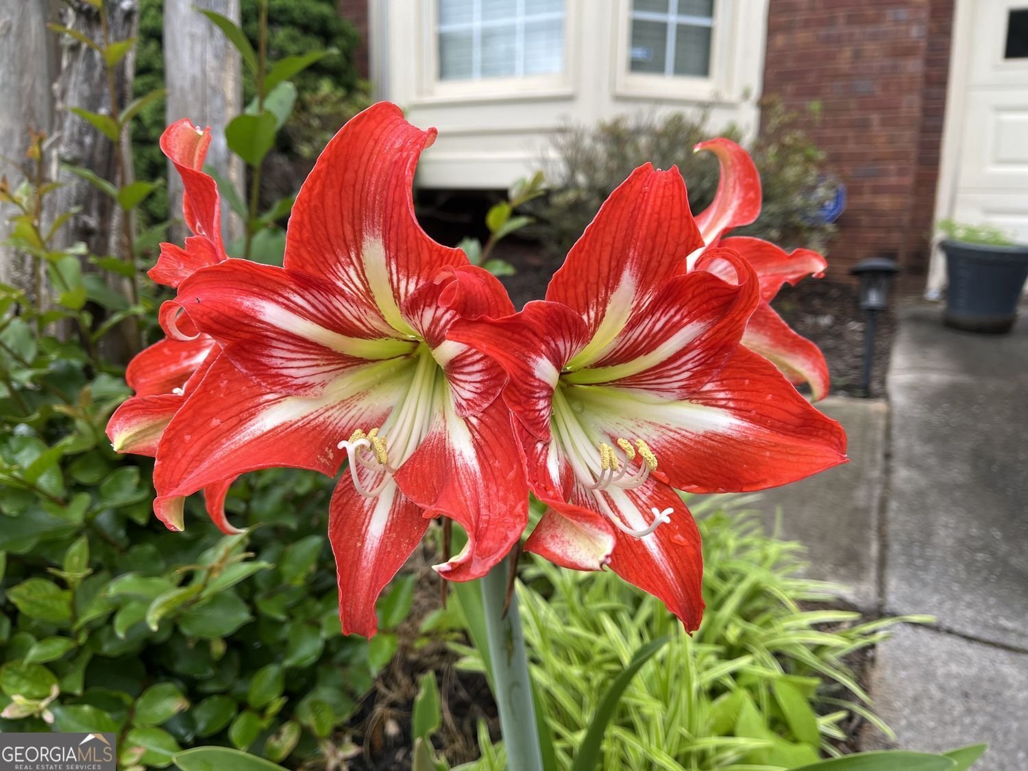 1380 Benbrooke Lane Acworth - Photo 58