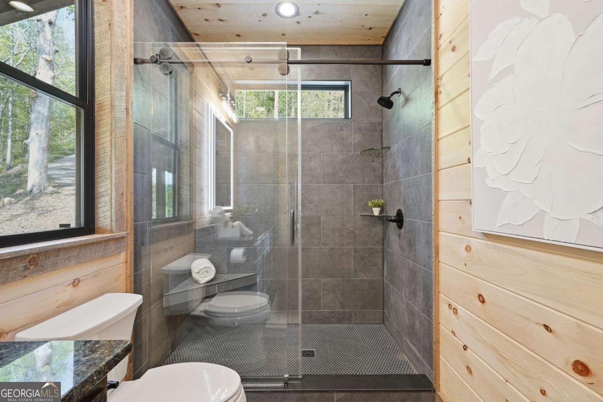 250 Wolf Creek Circle Mineral Bluff - Photo 22