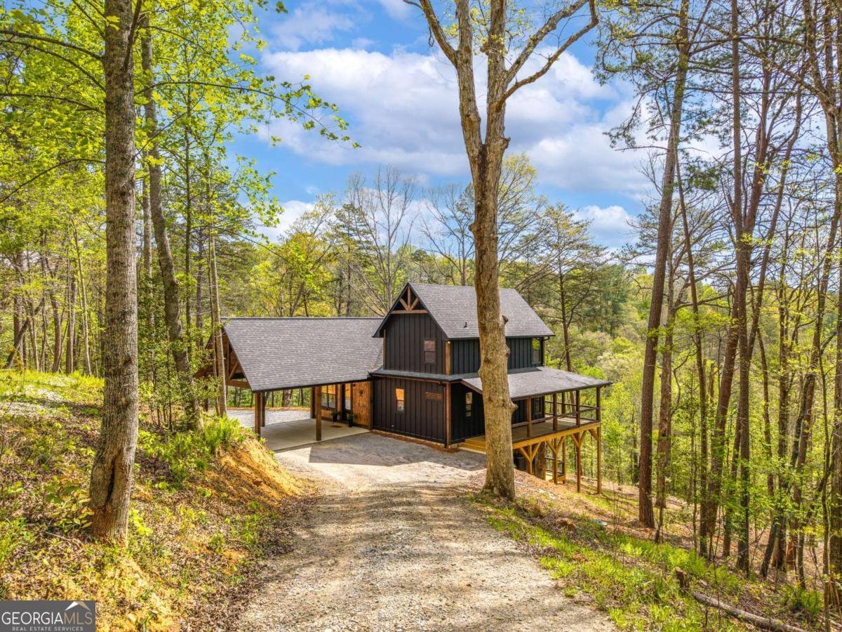 250 Wolf Creek Circle Mineral Bluff - Photo 42