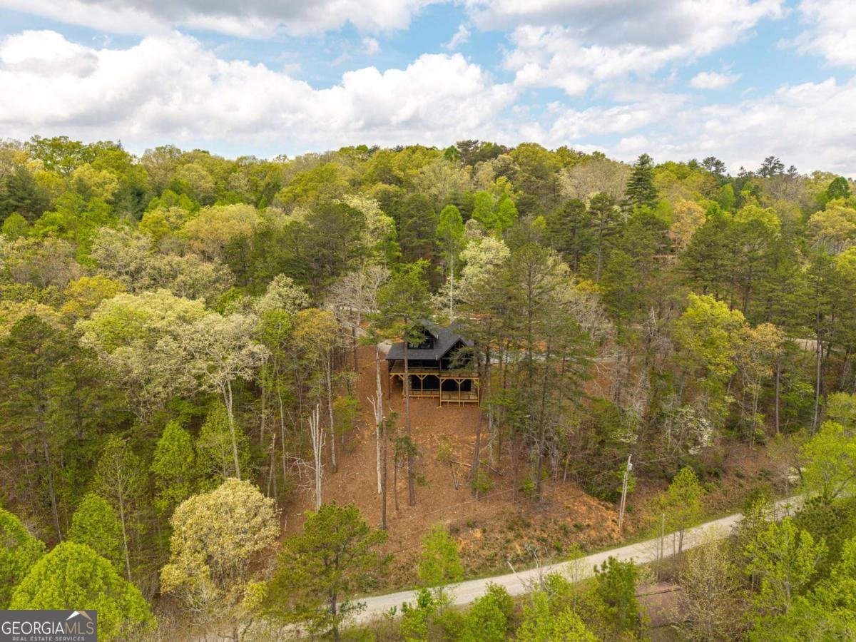 250 Wolf Creek Circle Mineral Bluff - Photo 44