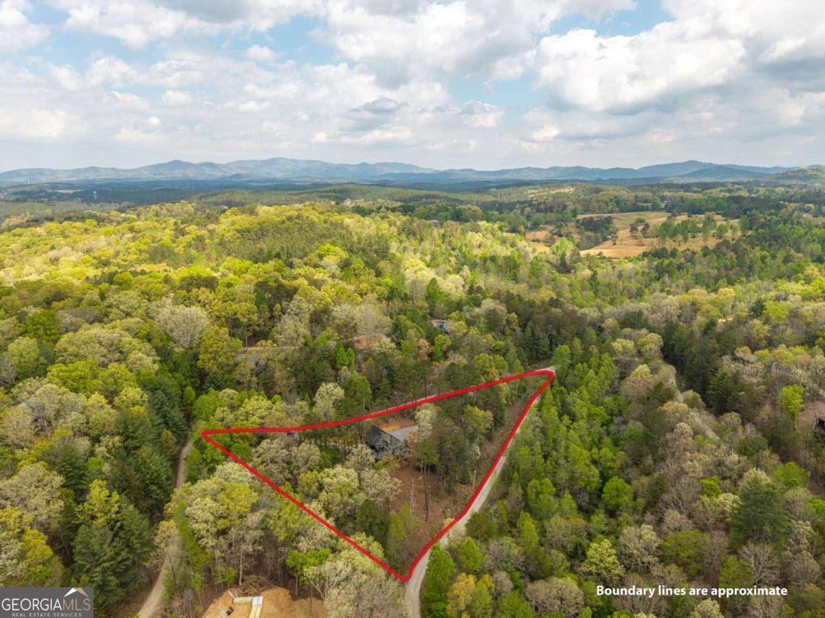250 Wolf Creek Circle Mineral Bluff - Photo 45