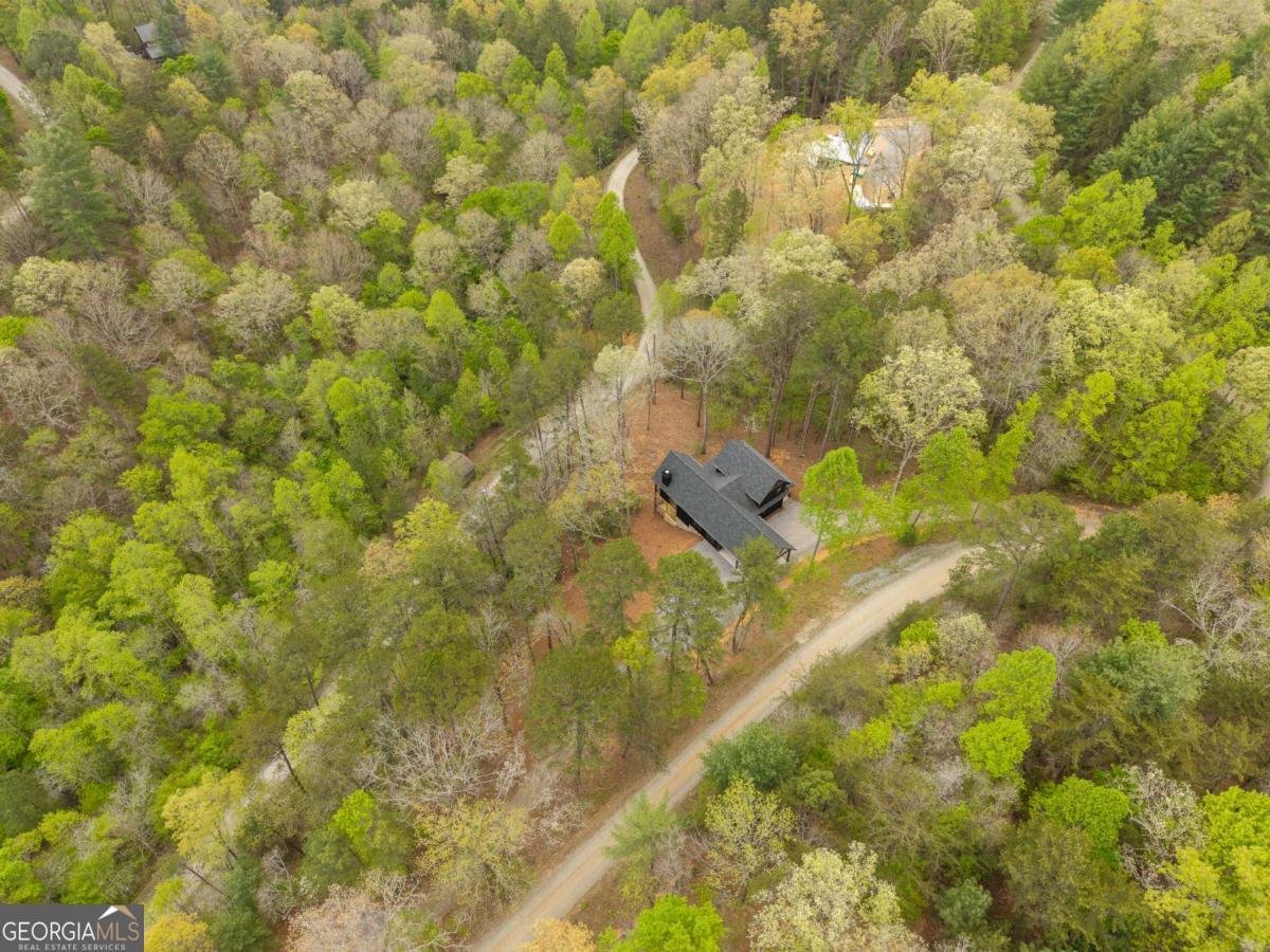250 Wolf Creek Circle Mineral Bluff - Photo 46