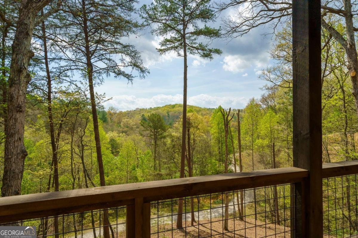 250 Wolf Creek Circle Mineral Bluff - Photo 50