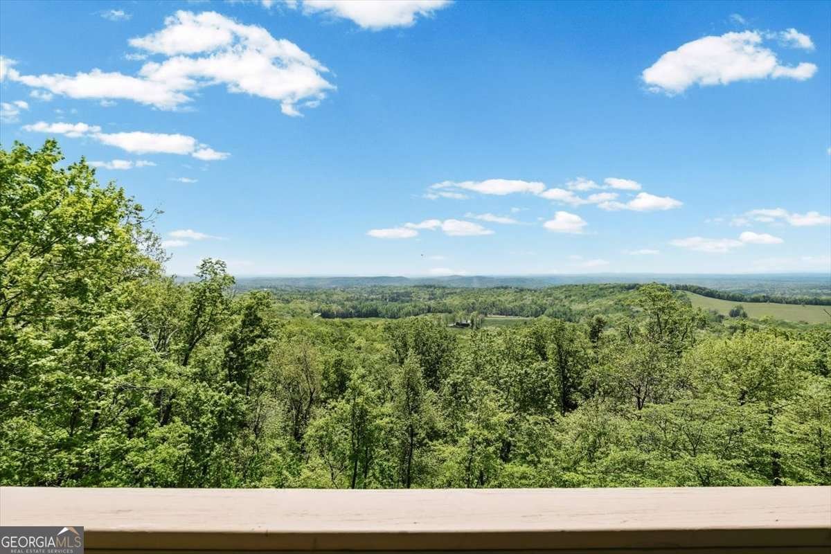 252 Oglethorpe Mountain Trail Jasper - Photo 24