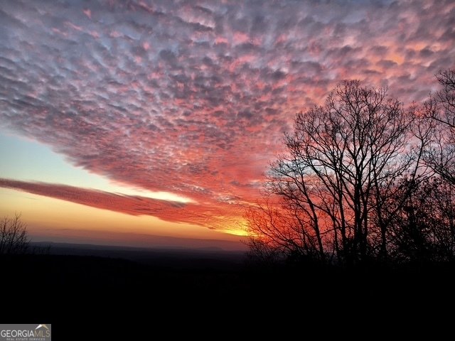 252 Oglethorpe Mountain Trail Jasper - Photo 38