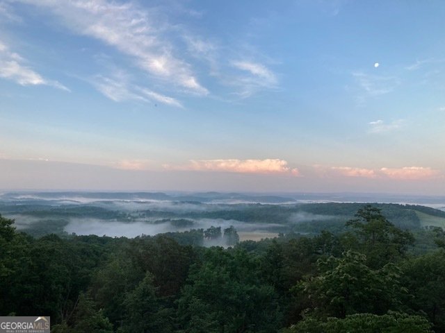 252 Oglethorpe Mountain Trail Jasper - Photo 39