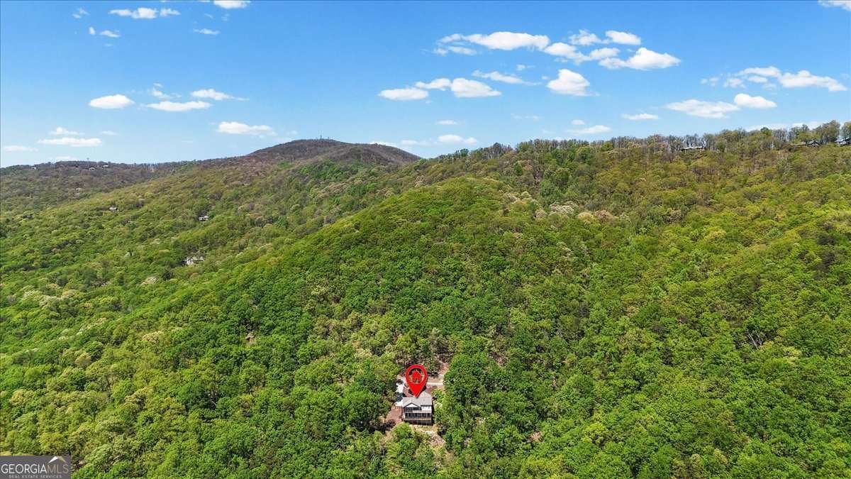 252 Oglethorpe Mountain Trail Jasper - Photo 41