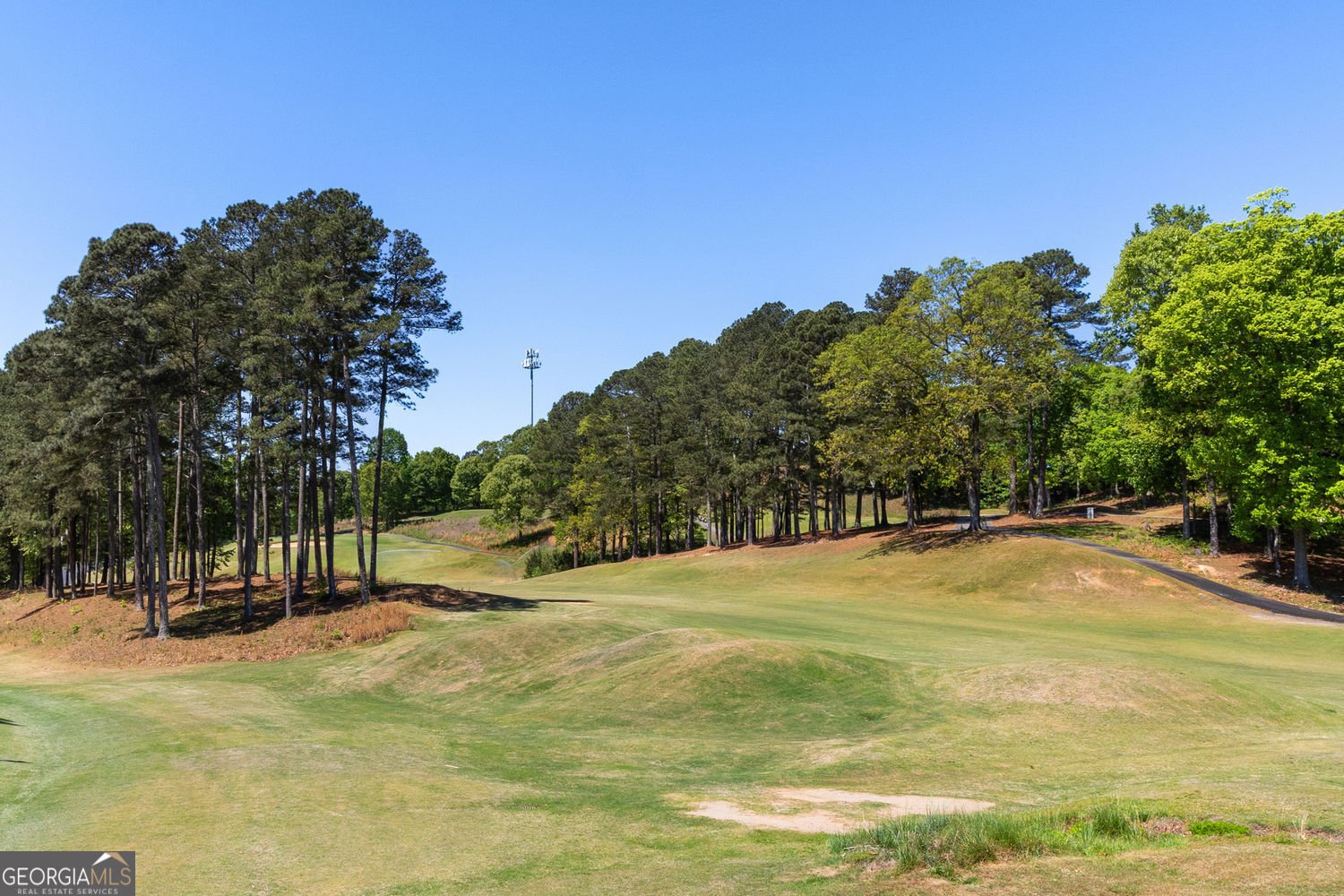 446 Sandtrap Lane Sugar Hill - Photo 40