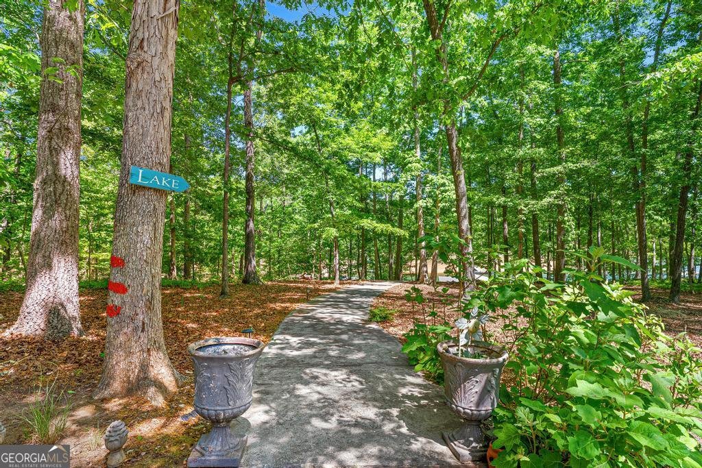 1230 Melody Lane Hartwell - Photo 45