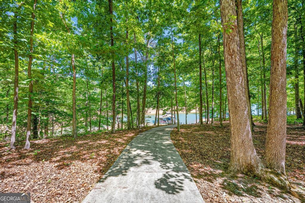 1230 Melody Lane Hartwell - Photo 46