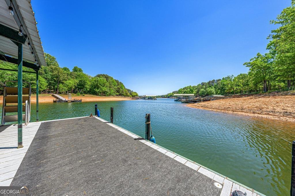 1230 Melody Lane Hartwell - Photo 49