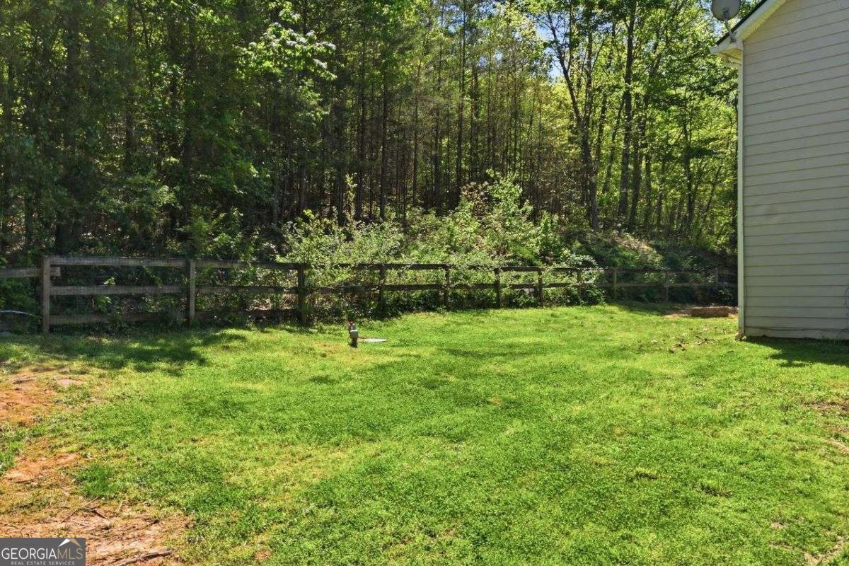 95 Kerns Ridge Court Dawsonville - Photo 29