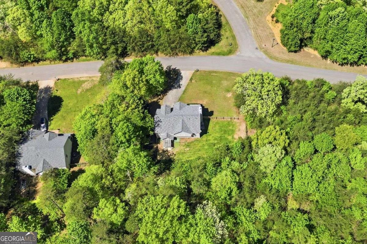 95 Kerns Ridge Court Dawsonville - Photo 33