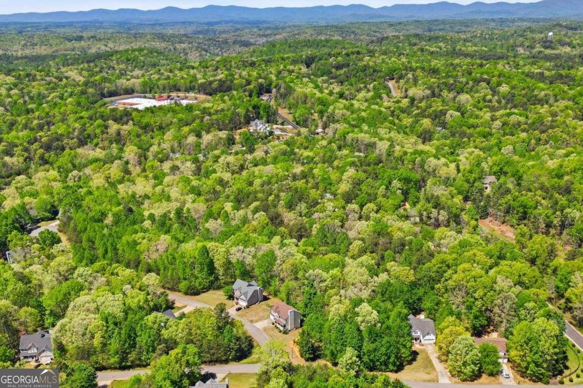 95 Kerns Ridge Court Dawsonville - Photo 34