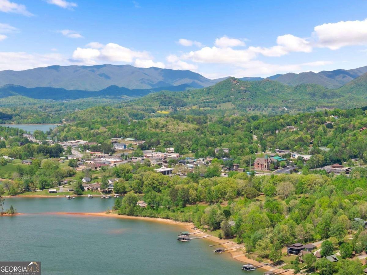 798 Dogwood Trail Hiawassee - Photo 60