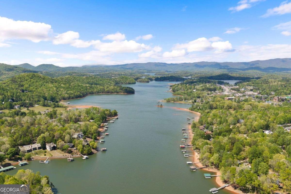 798 Dogwood Trail Hiawassee - Photo 61