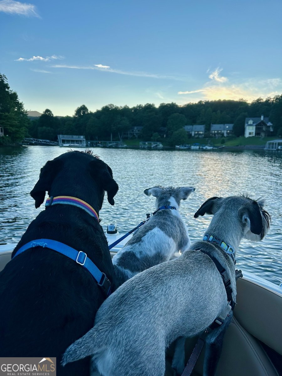 798 Dogwood Trail Hiawassee - Photo 62