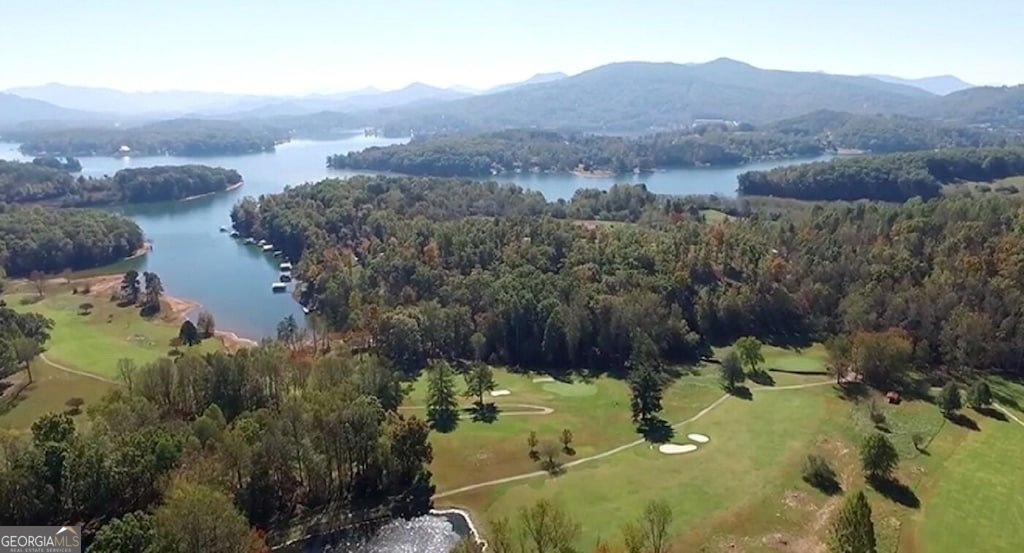 798 Dogwood Trail Hiawassee - Photo 69