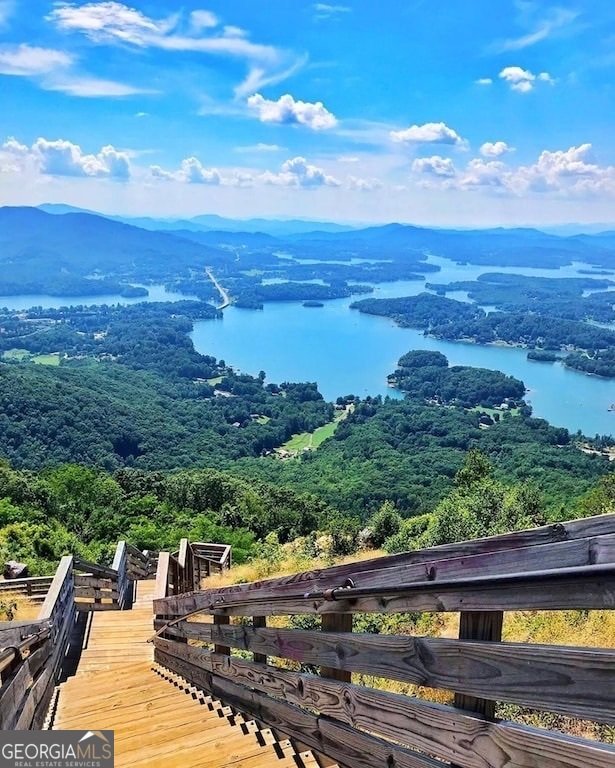 798 Dogwood Trail Hiawassee - Photo 71