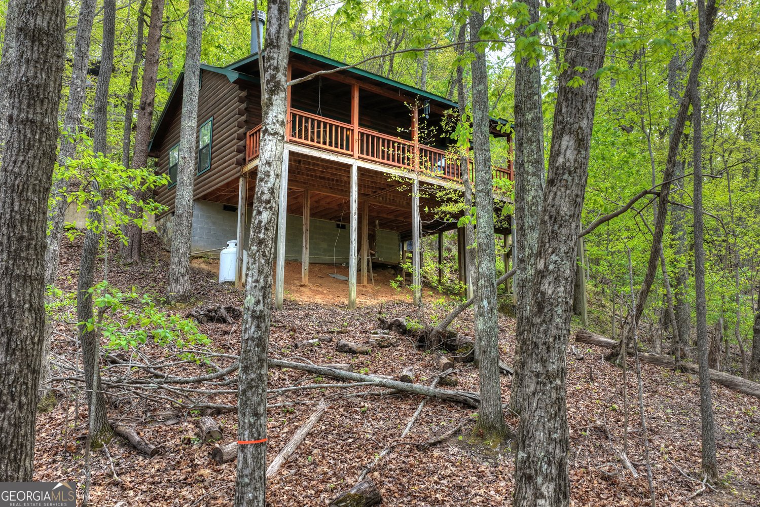 660 Ripshin Mountain Road Blue Ridge - Photo 32