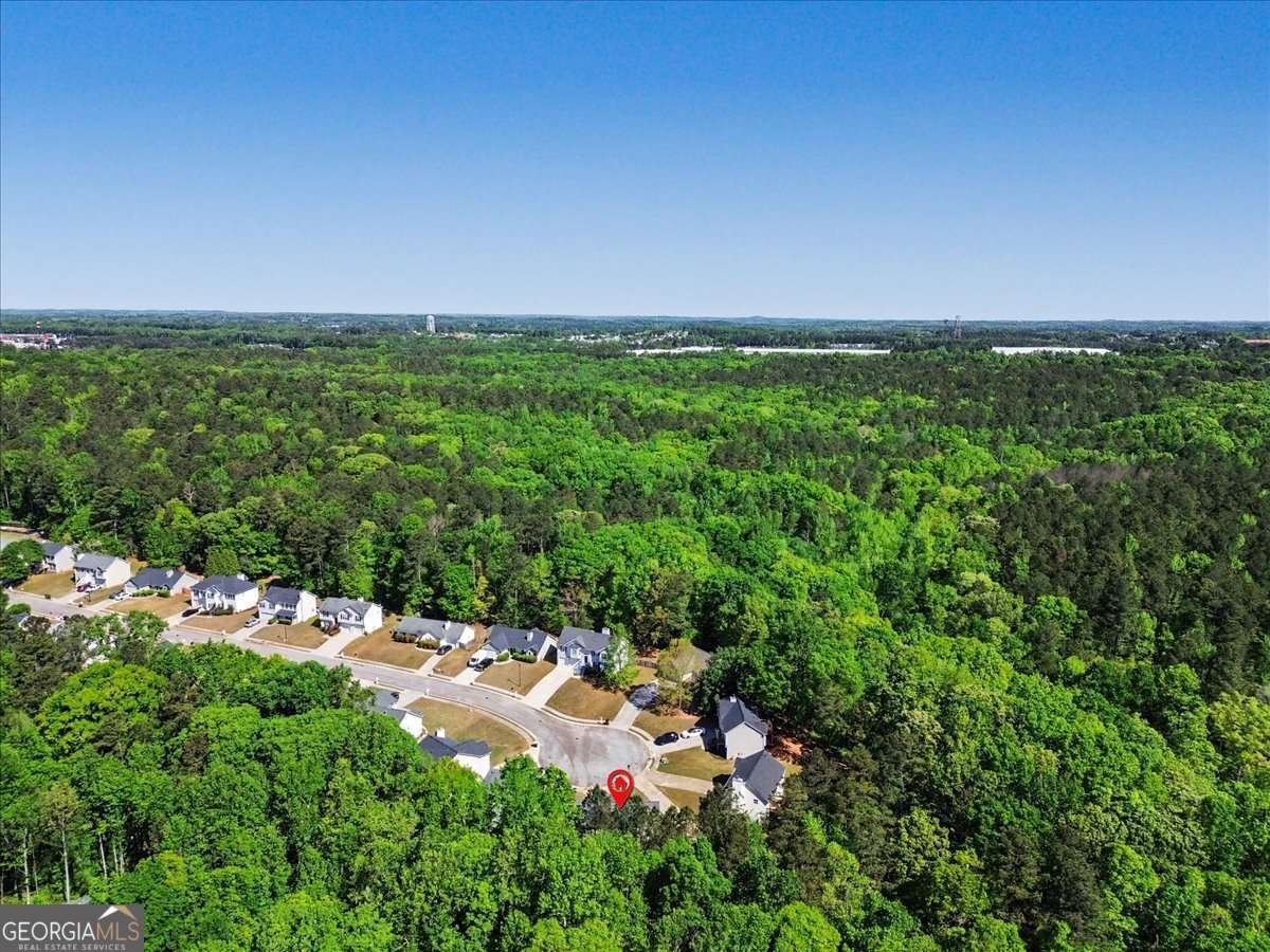 190 Whetstone Way Villa Rica - Photo 40