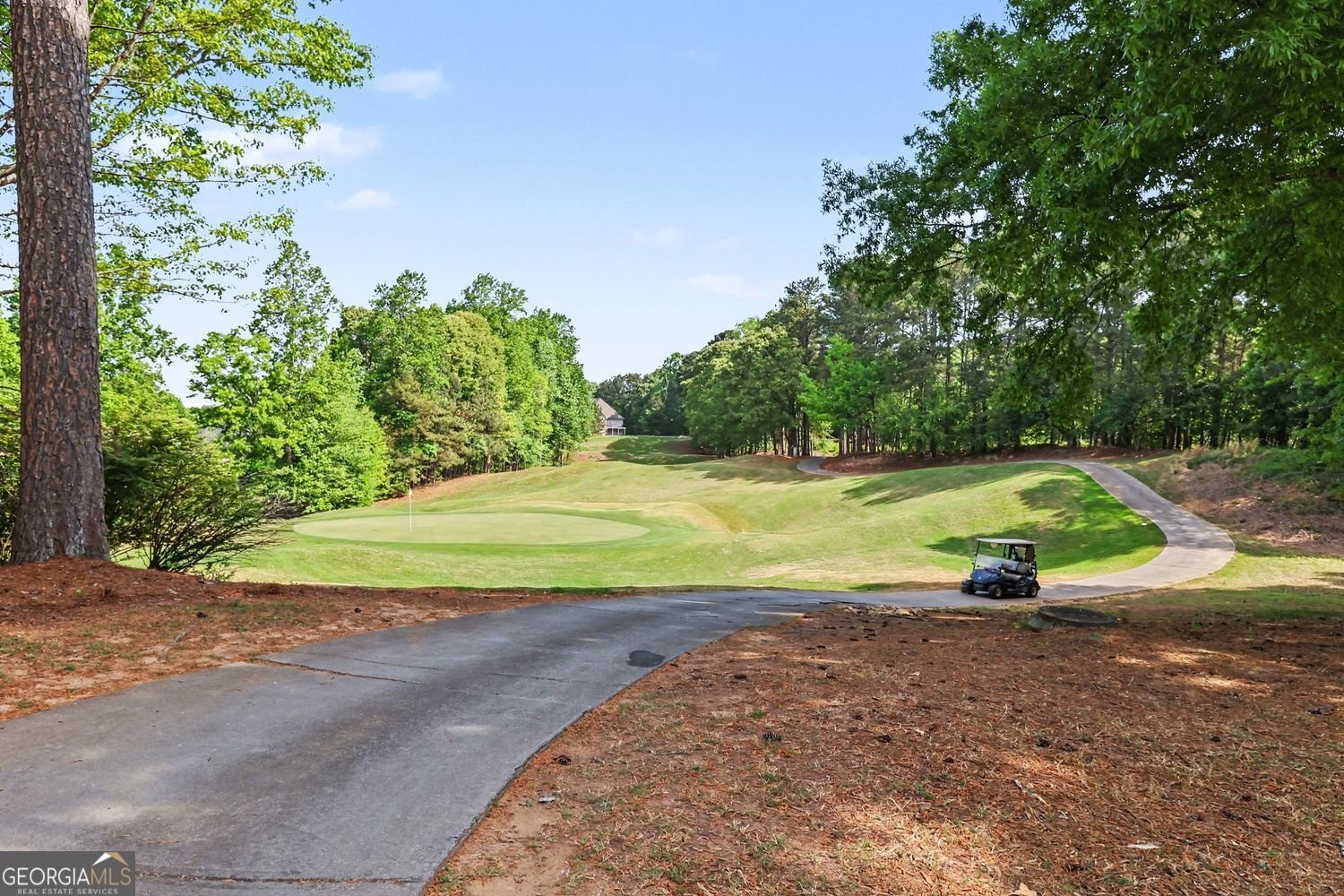 219 Morning Mist Way Woodstock - Photo 76