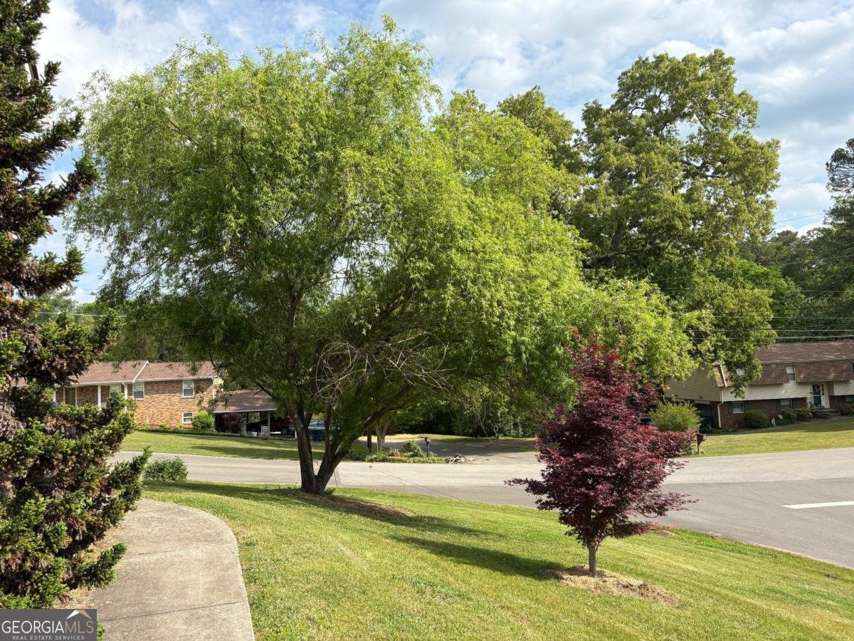 805 Thomas Avenue Chickamauga - Photo 13