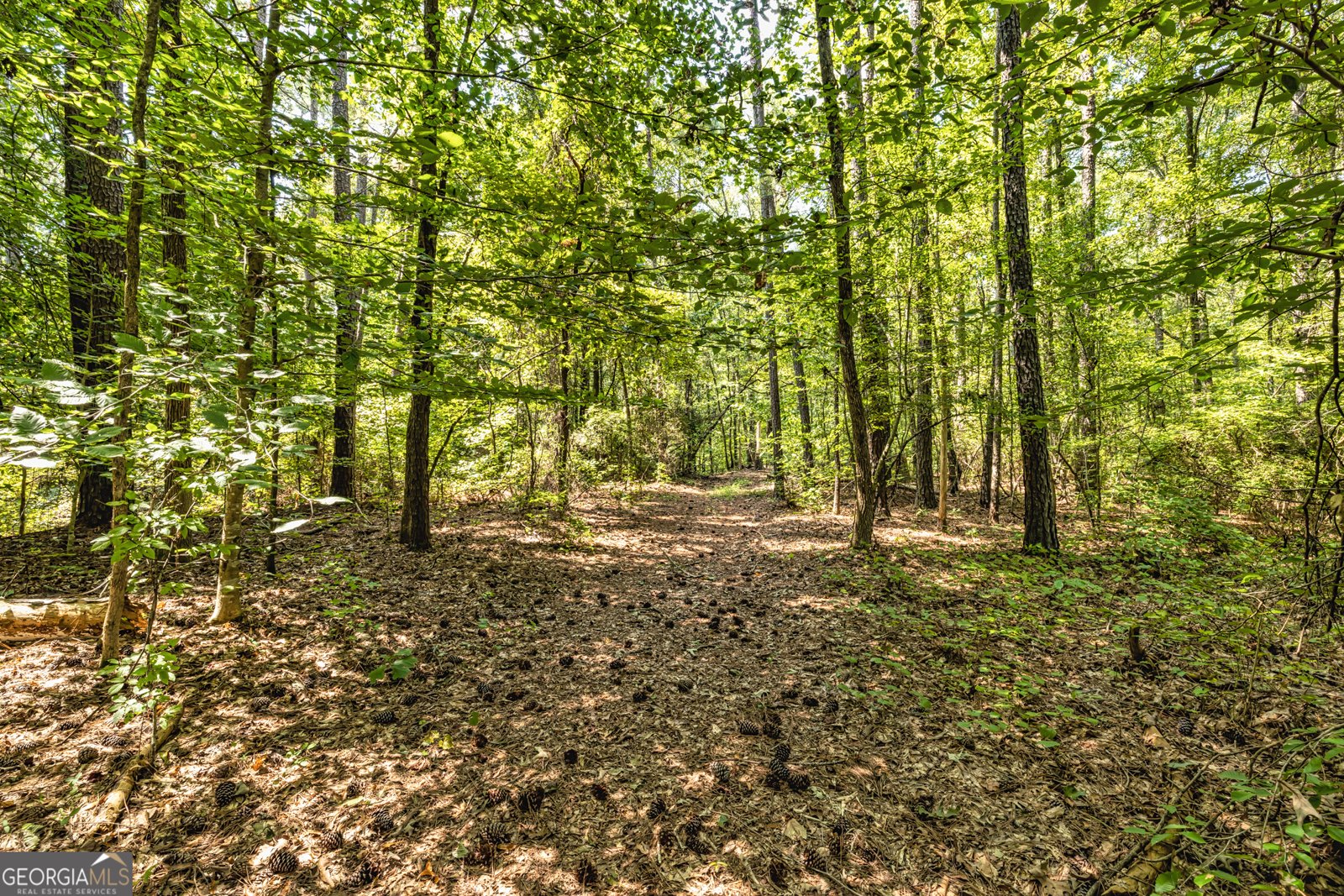 210 Mockingbird Lane Brooks - Photo 69