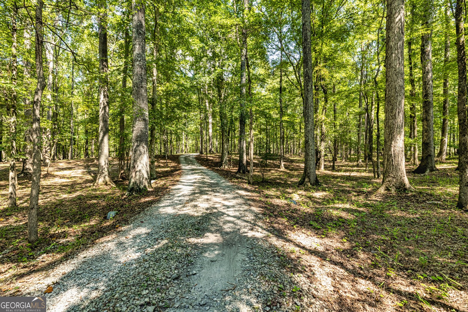 210 Mockingbird Lane Brooks - Photo 72