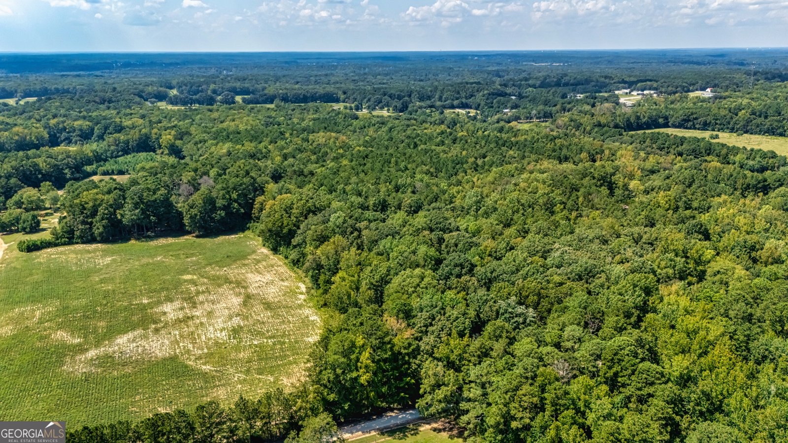 210 Mockingbird Lane Brooks - Photo 82