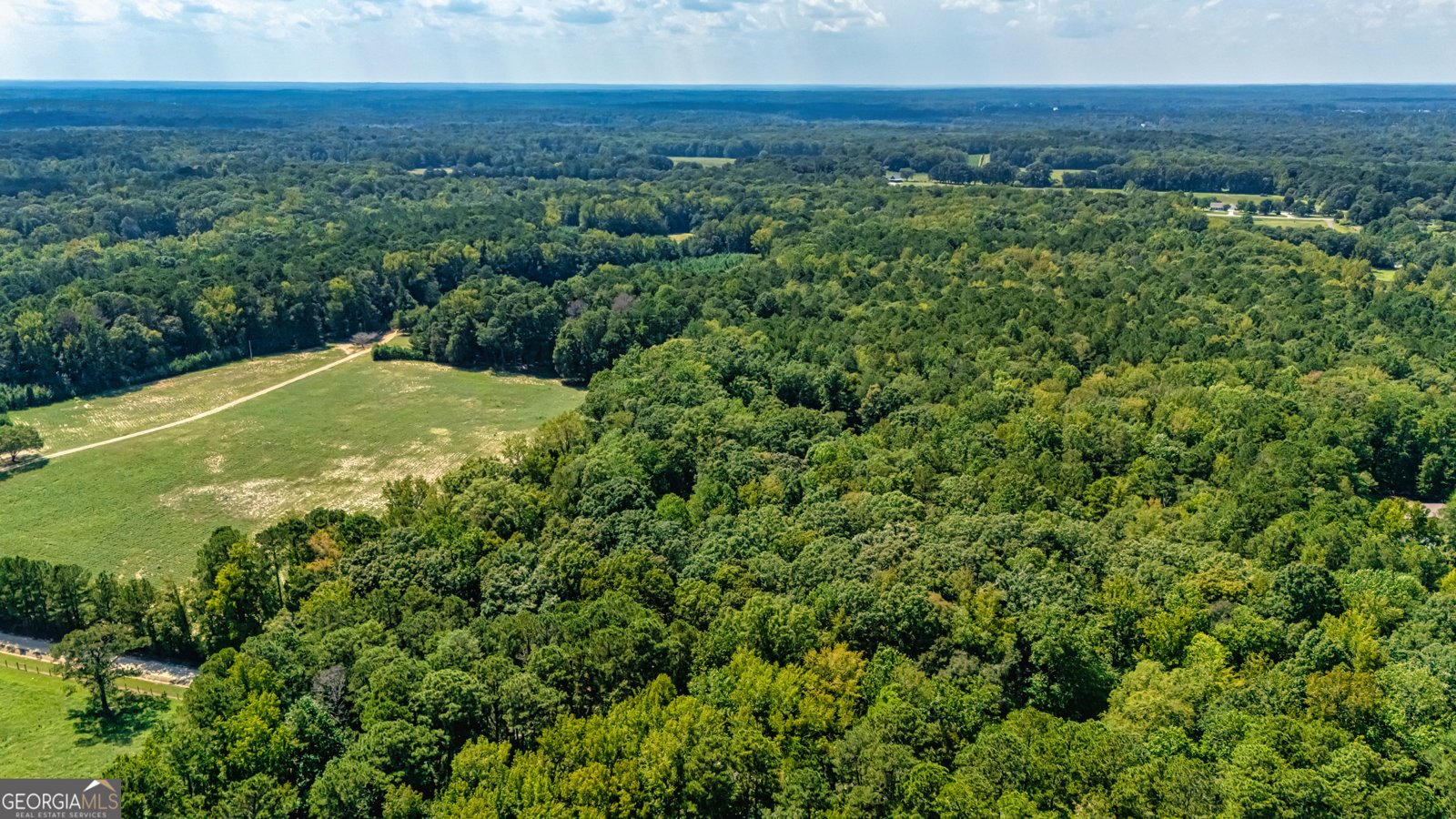 210 Mockingbird Lane Brooks - Photo 85