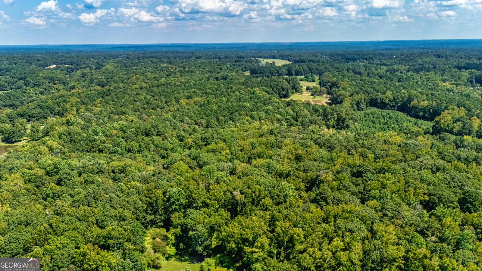 210 Mockingbird Lane Brooks - Photo 86