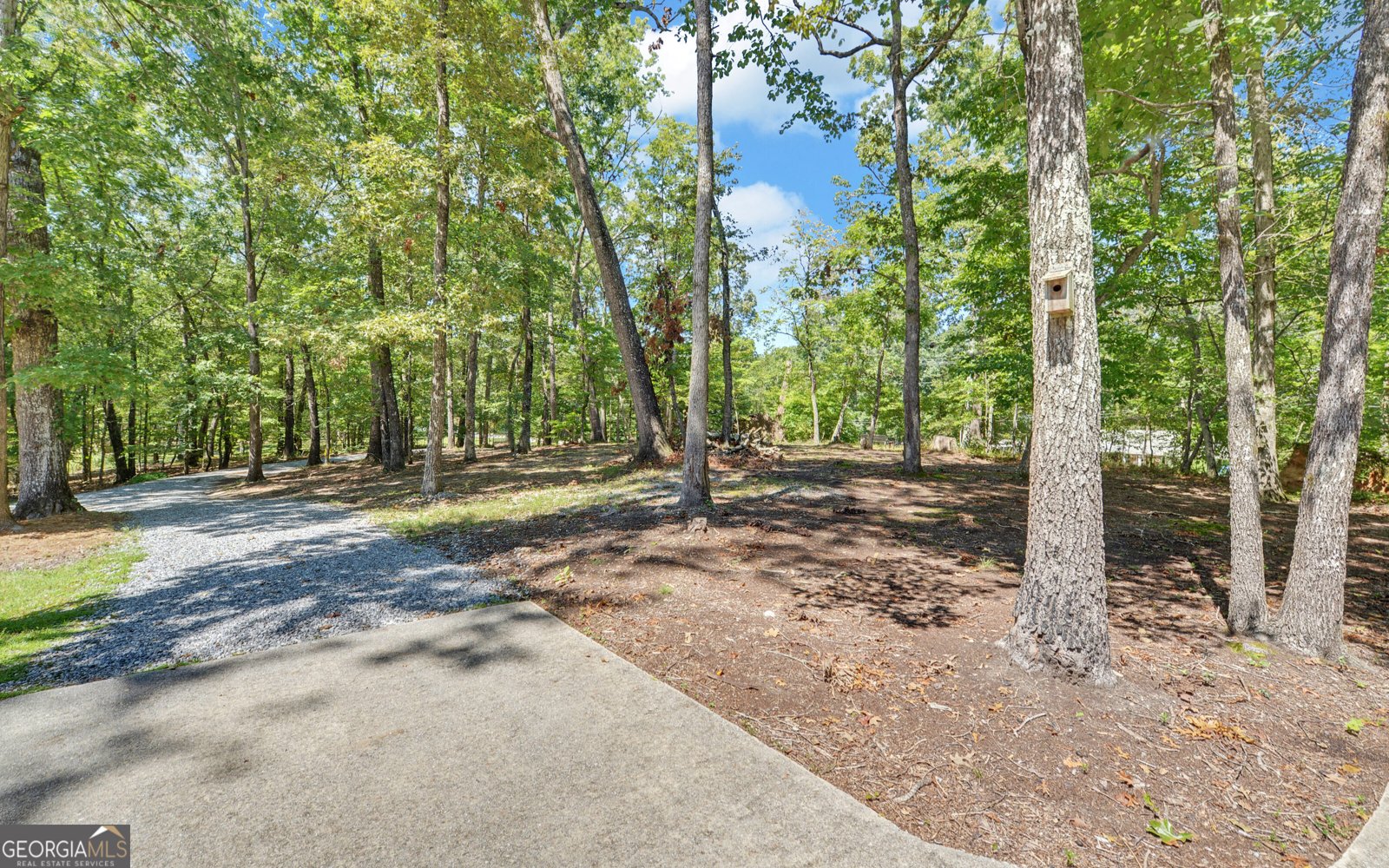 4749 Cool Springs Road Gainesville - Photo 52