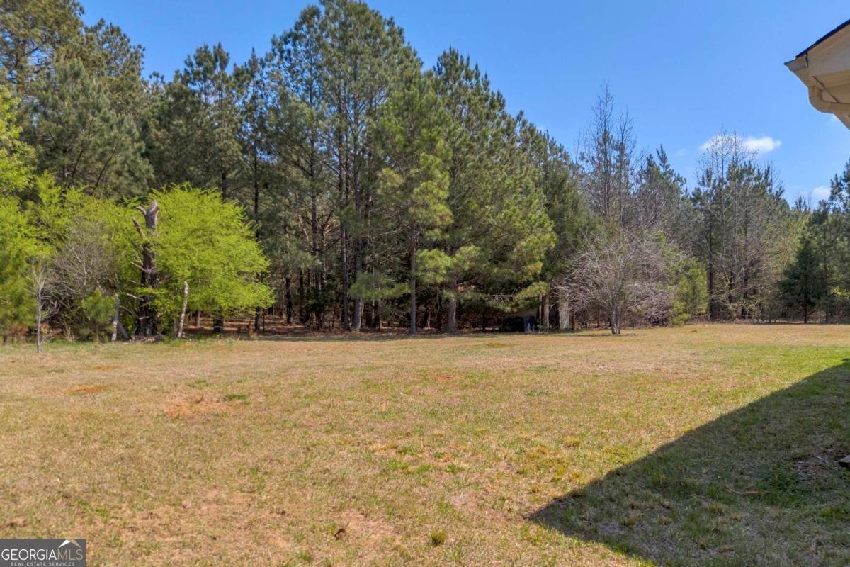 253 Old Sanders Farm Road Crawford - Photo 34