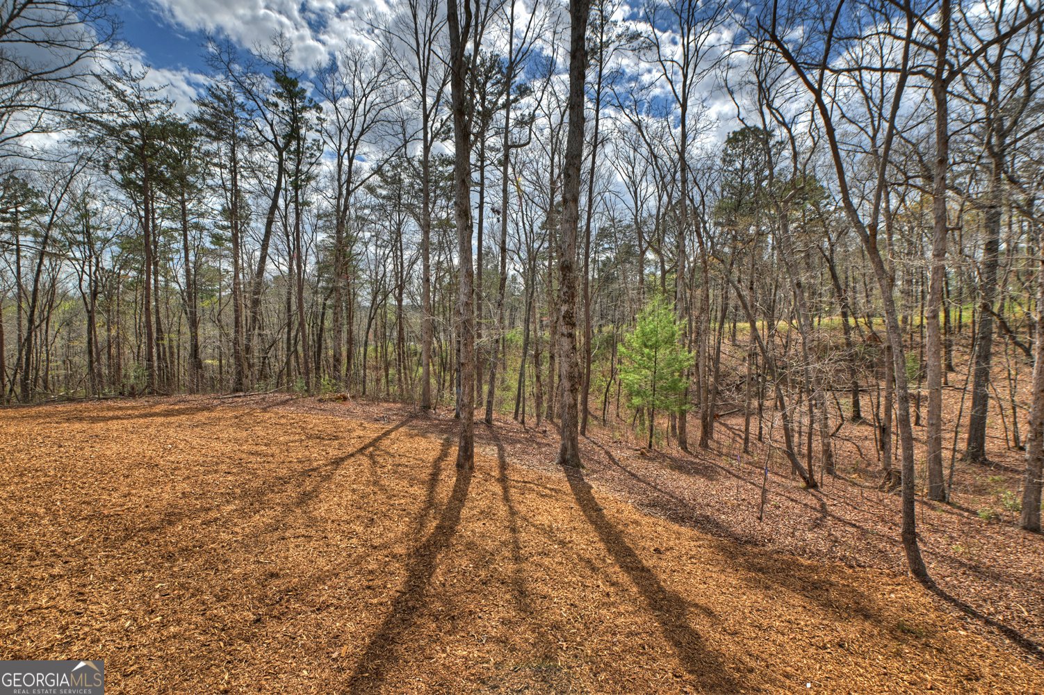 191 Hilton Drive Ellijay - Photo 11