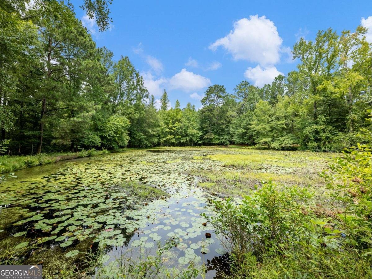 1334 Criswell Road Monroe - Photo 62