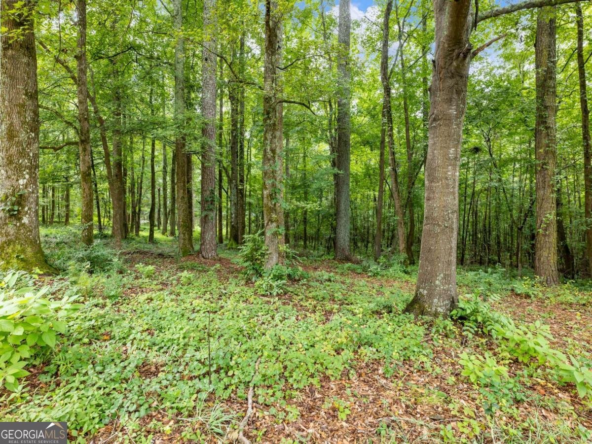 1334 Criswell Road Monroe - Photo 65