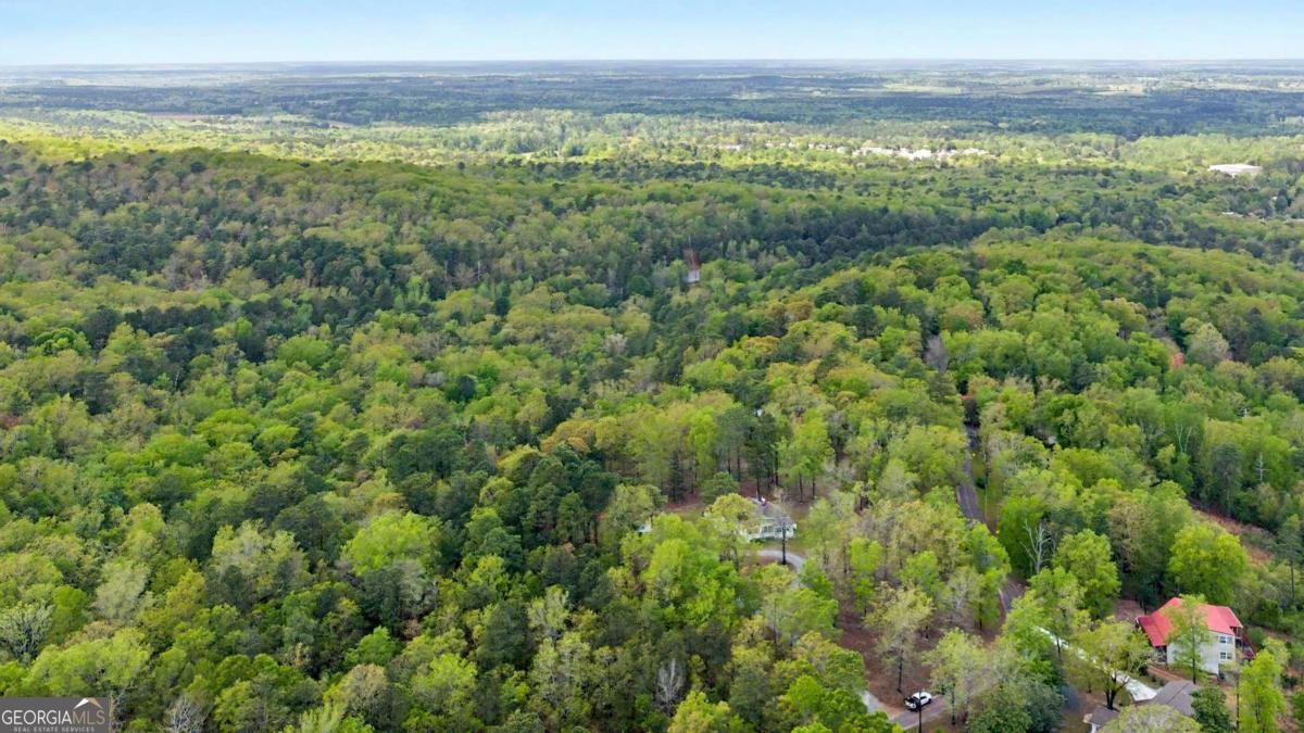 674 Pine Lane Warm Springs - Photo 33