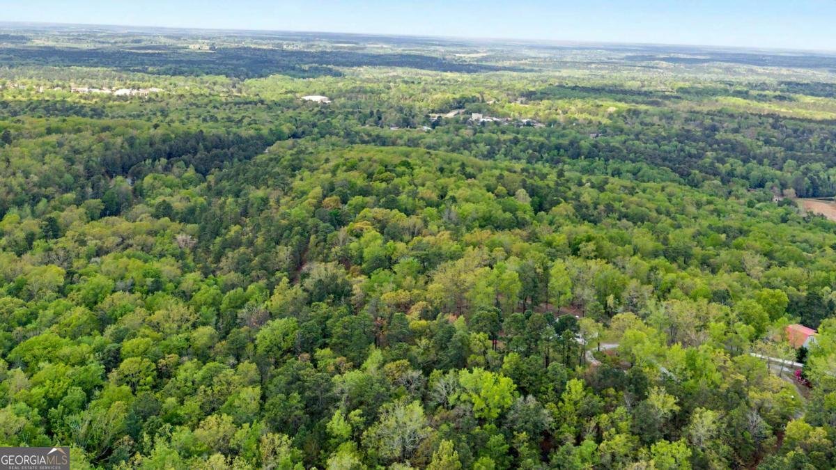 674 Pine Lane Warm Springs - Photo 34