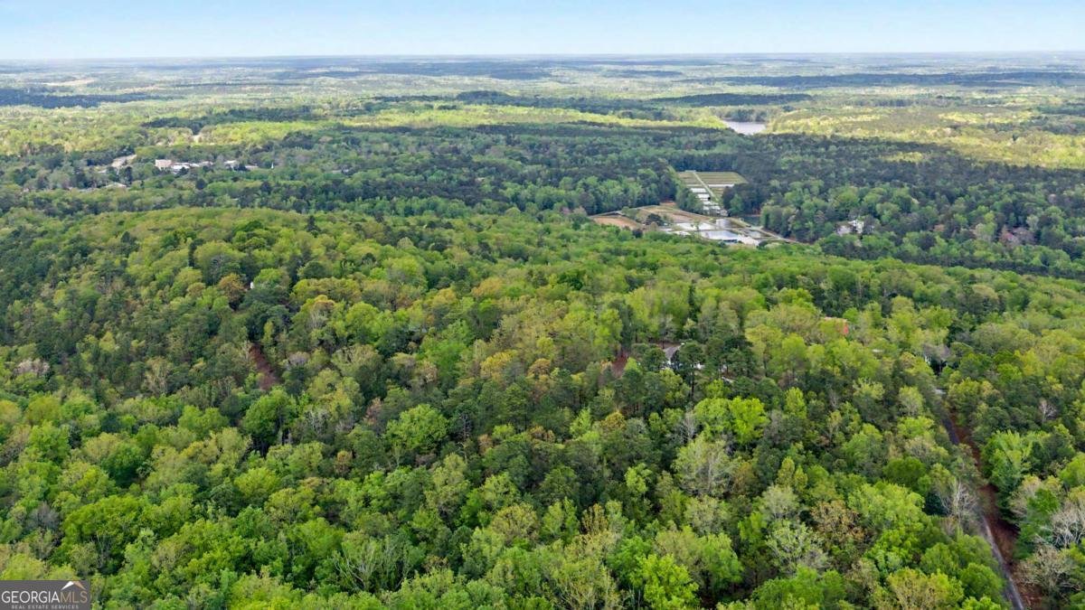 674 Pine Lane Warm Springs - Photo 36