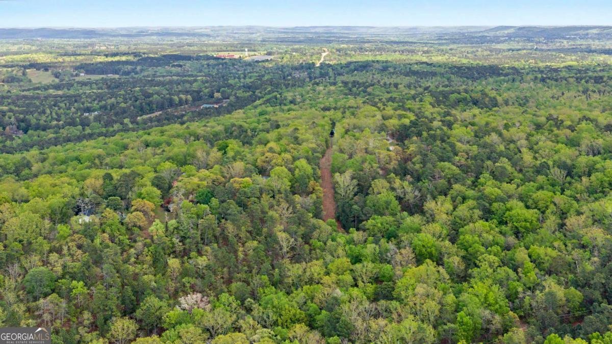 674 Pine Lane Warm Springs - Photo 37