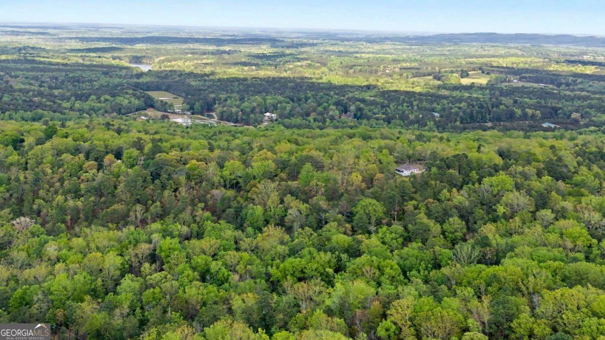 674 Pine Lane Warm Springs - Photo 38