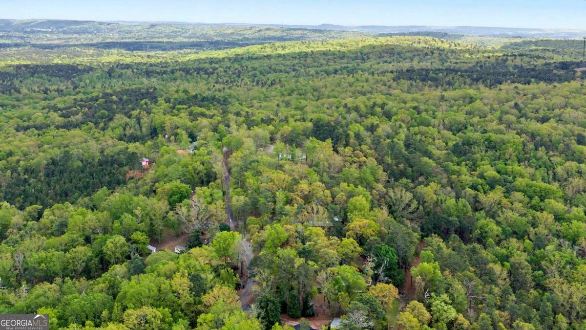 674 Pine Lane Warm Springs - Photo 39