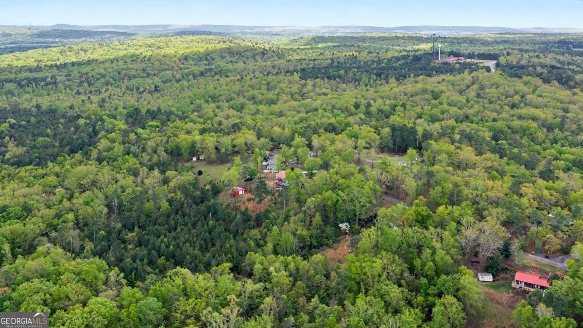 674 Pine Lane Warm Springs - Photo 40