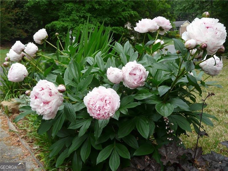 2659 Amberly Drive Dunwoody - Photo 38